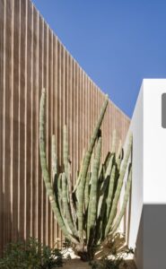 Custom home builder in Chileno Bay